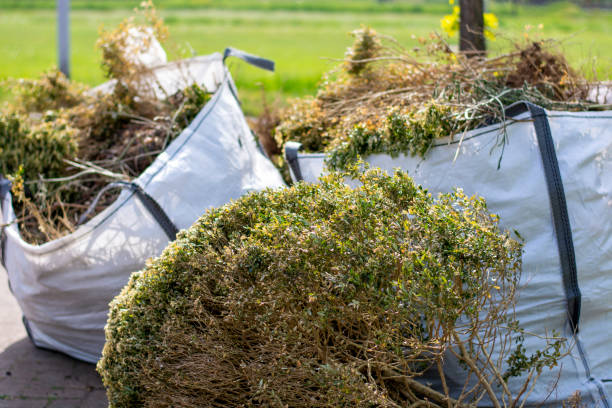 Best Same-Day Junk Removal Services  in West Point, KY